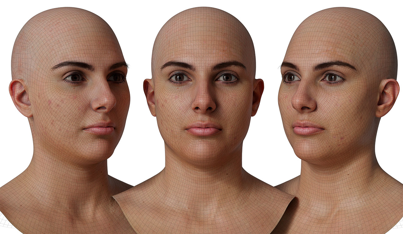 head model wireframe mesh